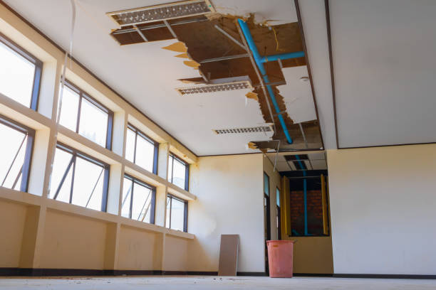 Best Commercial water damage restoration  in Redington Beach, FL
