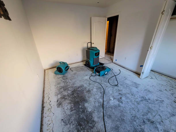Best Fire Damage Restoration  in Redington Beach, FL