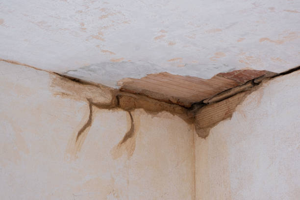 Best Water damage cleanup near me  in Redington Beach, FL