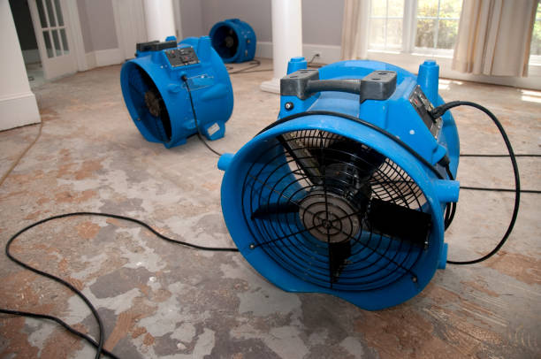 Best 24-hour water damage restoration  in Redington Beach, FL