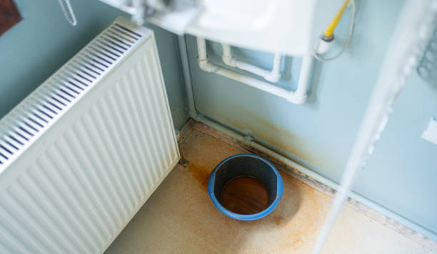Best Water damage restoration near me  in Redington Beach, FL