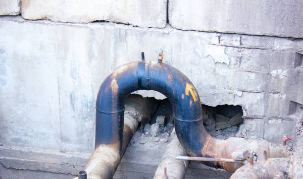 Best Carpet water damage restoration  in Redington Beach, FL